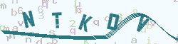 verify_code